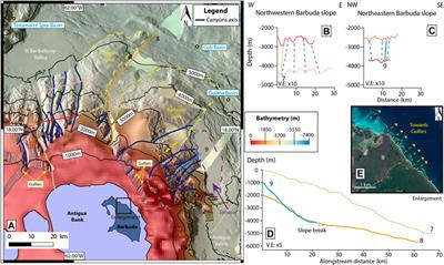 Coexistence of Adjacent Siliciclastic, Carbonate, and Mixed Sedimentary Systems: An Example From Seafloor Morphology in the Northern Lesser Antilles Forearc
